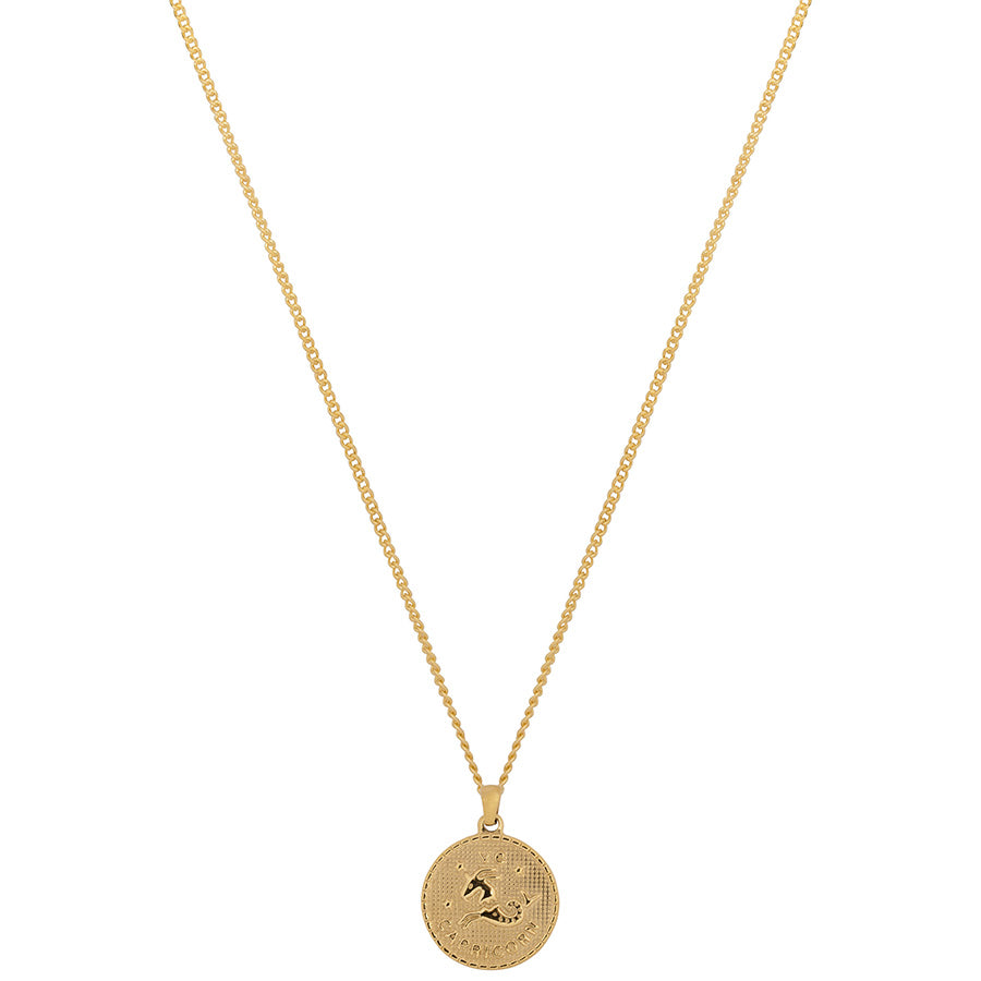 Capricorn Pendant Necklace